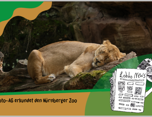 SZ: Die Foto-AG erkundet den Nürnberger Zoo