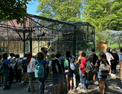 Ethikschüler im Tiergarten Nürnberg