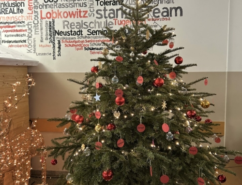 Vom Christbaum zum Wertebaum