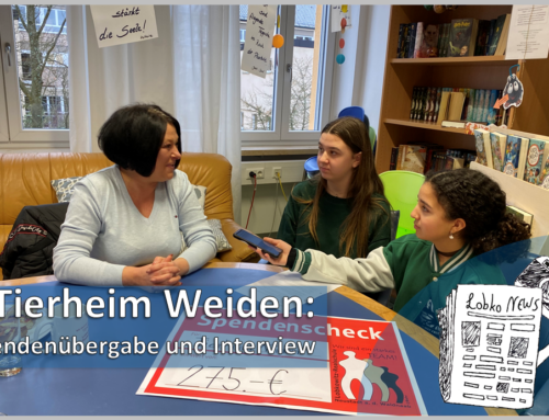 SZ: Lobko News im Gespräch mit dem Tierheim Weiden: Spendenübergabe und Interview