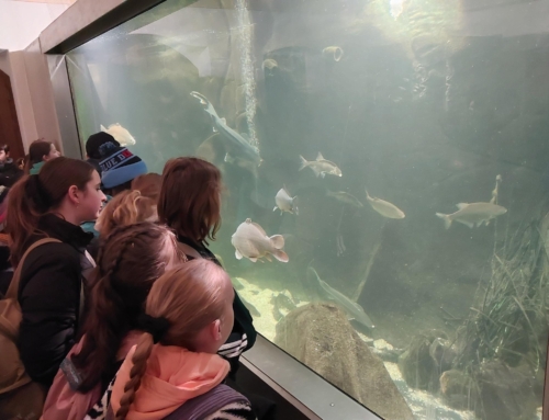 Forscher im Fischereimuseum