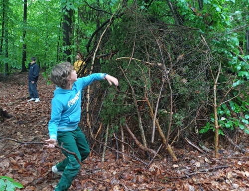 Spielstunde im Wald