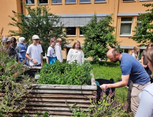 Solarbetriebene Bewässerung für den Schulgarten