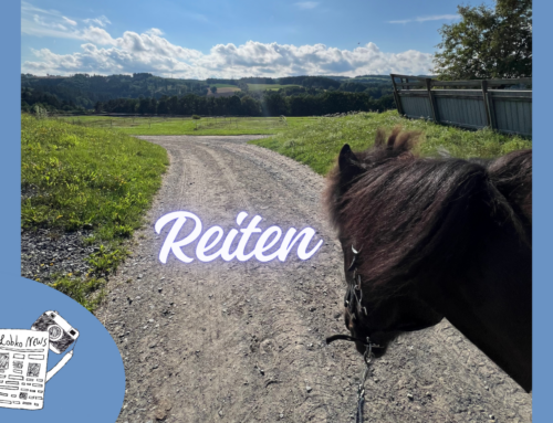 SZ: Mehr als Reiten