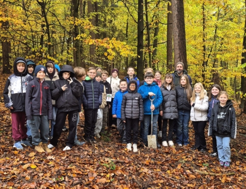 Mammutmäßiges Projekt – Fünftklässler pflanzen Bäume im Schulwald